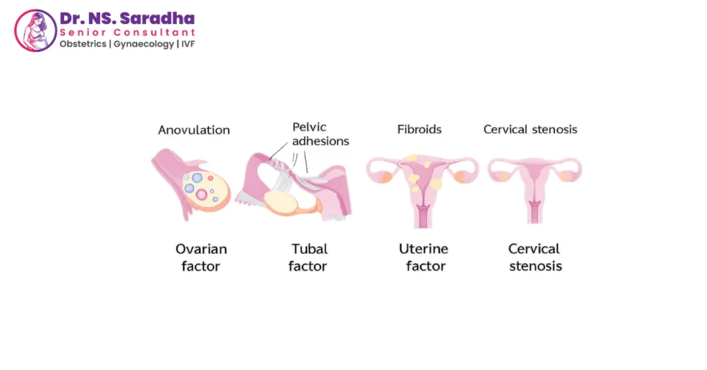 Difference Between PCOS and PCOD