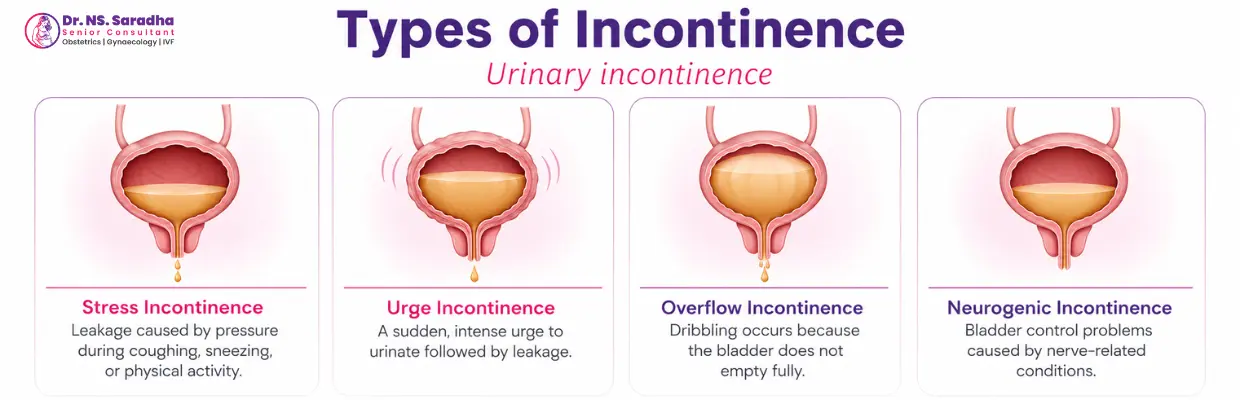 Pelvic Floor and Bladder
