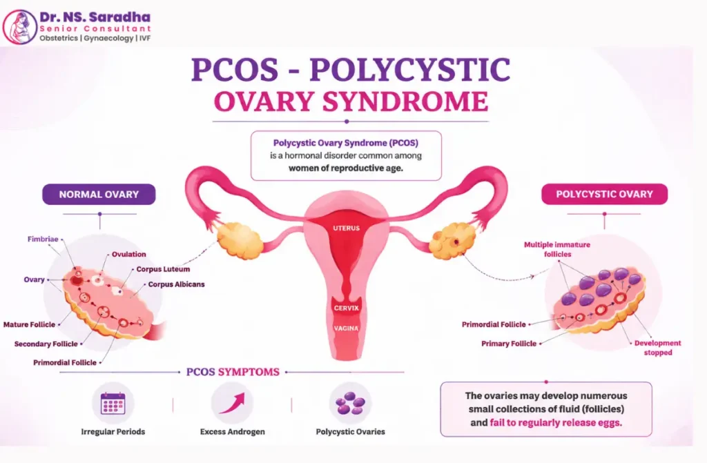 women's health specialist in Vadapalani
