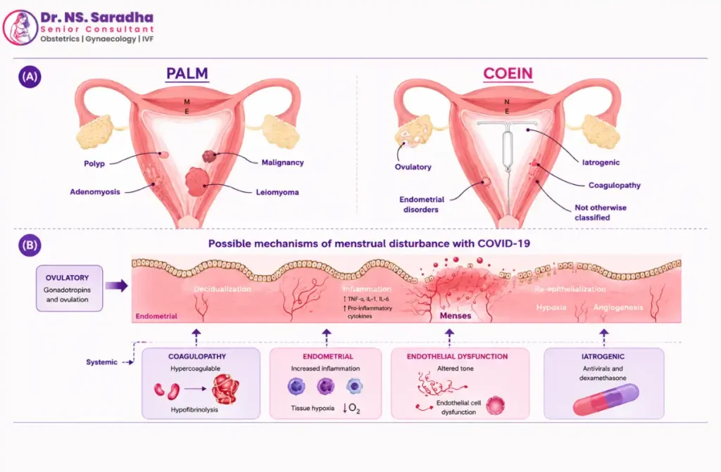 Gynaecology surgeon in vadapalani